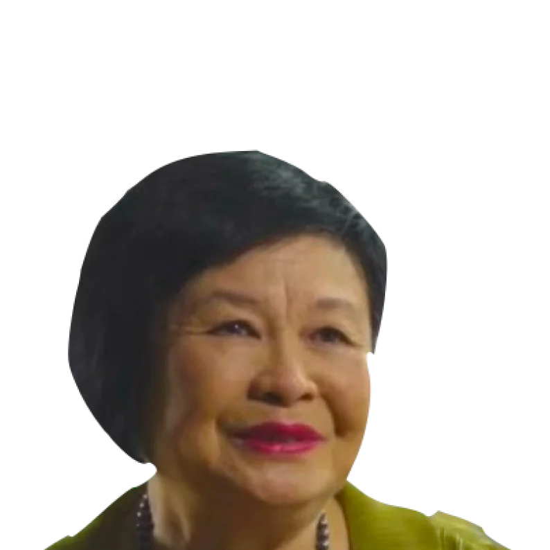 Mei Lin Fun 