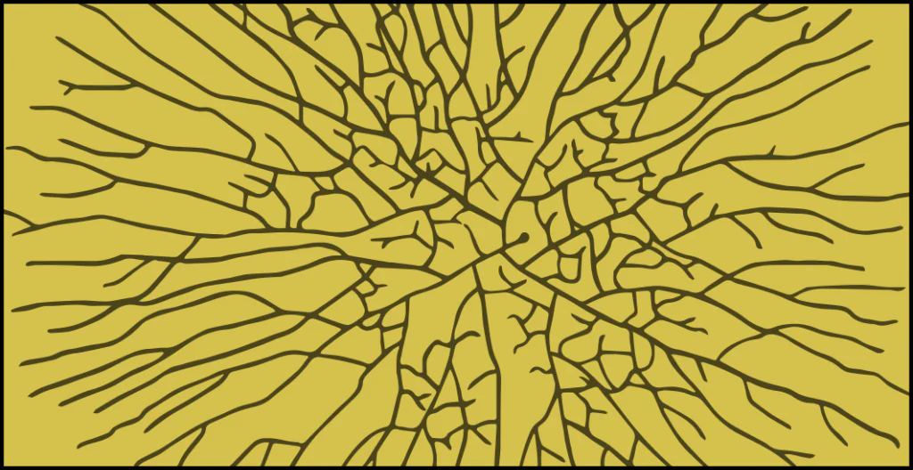 Regenerative Economies: World Institute for Regenerative Certifications